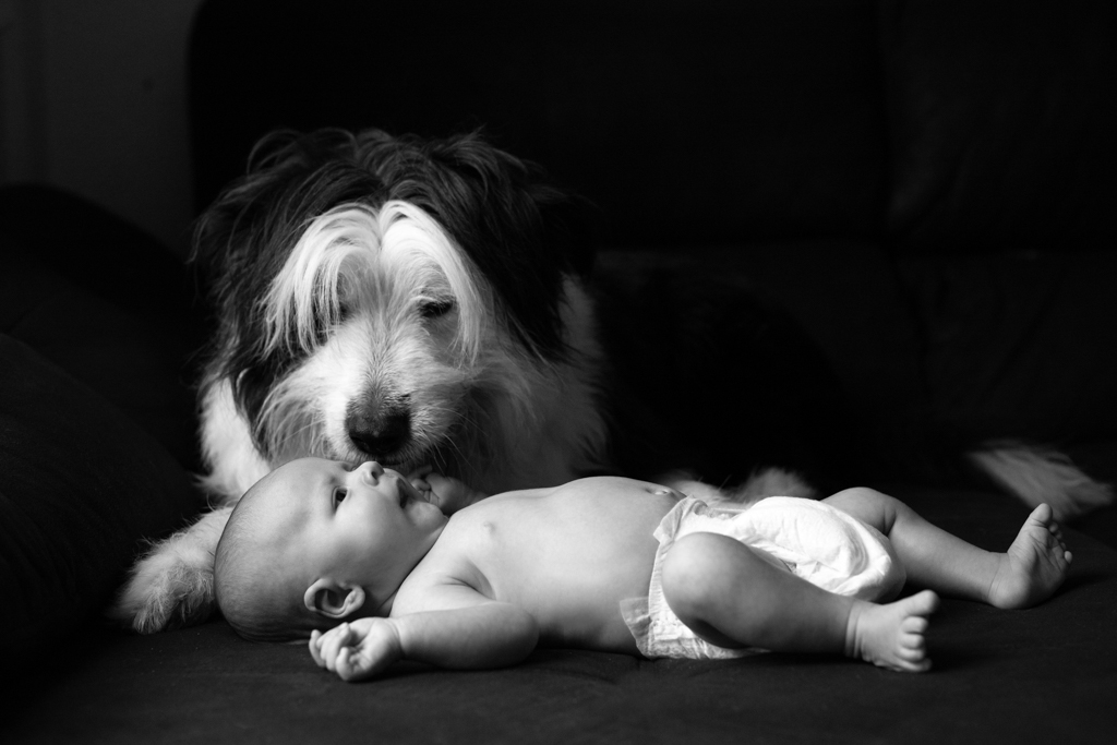 Fotografía de newborn con su perro